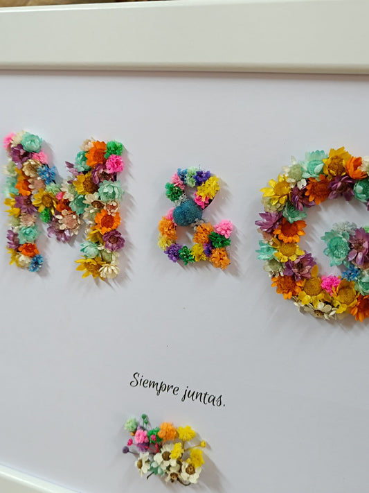 Marco flores preservadas