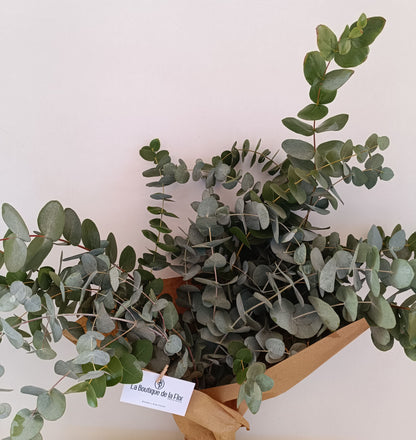 Eucalyptus package